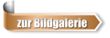 zur Bildgalerie