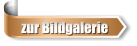 zur Bildgalerie
